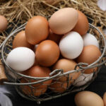 Basket of brown and white eggs on straw