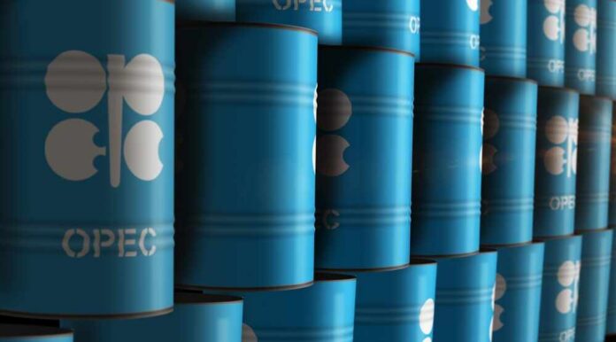 Stacked blue oil barrels with OPEC logo