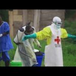 U.S. doctor working in the Congo tests positive for Ebola