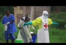 U.S. doctor working in the Congo tests positive for Ebola