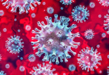 Microscopic view of coronavirus on a red background.