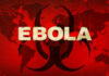 Ebola Storm: Rare Strain Sparks Global Alarm
