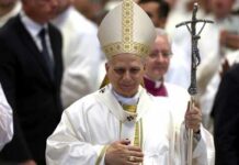 Pope’s Bombshell: Apologizes For THIS! Pope Leo XIV