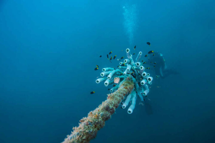 Underwater cable system
