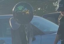 Graduation Killing Zone: Deadly Gunfire After Diplomas Fairfield graduation ceremony shooting victim identified