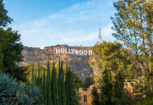 Fans Reeling — TV Mentor Dead Hollywood sign on hills, surrounded by trees.