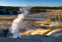 Bison Blitz At Yellowstone Geysers emitting steam in Yellowstone National Park landscape