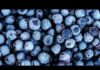 Tainted Blueberries Trigger Urgent Recall Publix blueberry recall