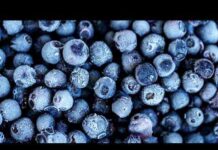 Publix blueberry recall