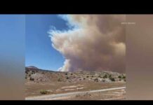 Burnover Horror — Fourth Firefighter Dies 4th wildland firefighter dies after being injured fighting Colorado fire