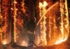 VIDEO: Europe Ablaze – Tourists Run For Their Lives Helicopter fighting massive forest fire with water bucket.