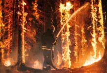 Helicopter fighting massive forest fire with water bucket.