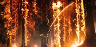 Helicopter fighting massive forest fire with water bucket.