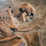 Garage Skeleton Named At Last Human skeleton partially unearthed in soil