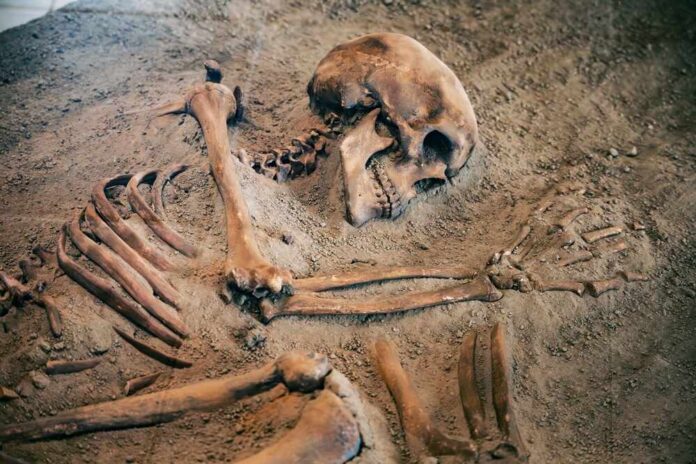 Exploration,Of,Primitive,Fossil,Skeletons,And,Bones,At,The,Archaeological Human skeleton partially unearthed in soil
