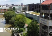 Police arrested a suspect in connection with a Baltimore harbor homicide.
