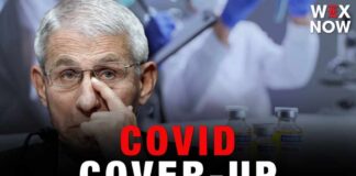 Fauci’s former senior adviser indicted on charges of concealing COVID-19 records