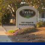Latest on lettuce recall amid clusters of cyclosporiasis cases