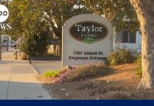 Sysco Slams Brakes On THIS Lettuce – DETAILS Latest on lettuce recall amid clusters of cyclosporiasis cases