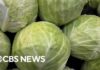 Lettuce Parasite Explodes Nationwide Cyclospora outbreak spreads to 9 states