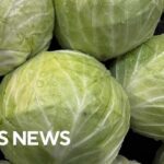 Lettuce Parasite Explodes Nationwide Cyclospora outbreak spreads to 9 states