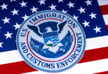 ICE logo