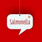 Speech bubble with the word Salmonella on red background