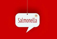 Speech bubble with the word Salmonella on red background