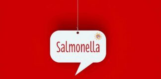 Speech bubble with the word Salmonella on red background
