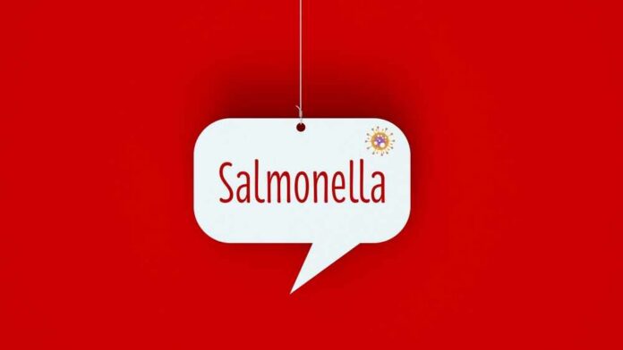 Speech bubble with the word Salmonella on red background