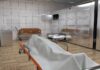 Cadaver Black Market Inside Harvard?!