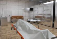 Cadaver Black Market Inside Harvard?!