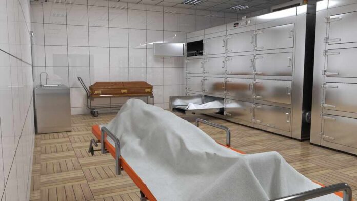 Isolated,On,White,Background,morgue.3d,Rendering.