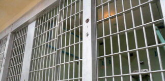 Empty prison cell with metal bars and toilet.