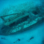 Oldest Shipwreck Shocks Archaeology Underwater shipwreck with divers and school of fish.
