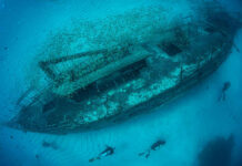 Oldest Shipwreck Shocks Archaeology Underwater shipwreck with divers and school of fish.