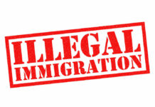 DHS On Alert: Caravan of Illegals Keeps Growing Red illegal immigration stamp on white background